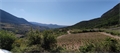 terrain à la vente